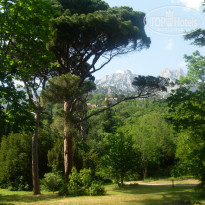 фото из отзыва ID 1162268