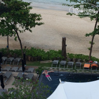 фото из отзыва ID 1167783