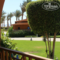 фото из отзыва ID 1167790