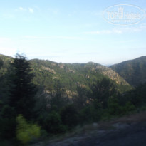 фото из отзыва ID 1168041