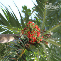 фото из отзыва ID 1167133