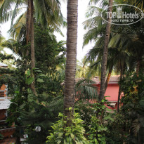 фото из отзыва ID 1168543