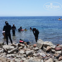 фото из отзыва ID 1168157