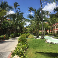 фото из отзыва ID 1168593