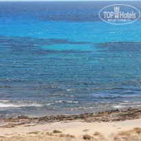 фото из отзыва ID 1168715