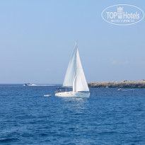 фото из отзыва ID 1168715