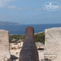 фото из отзыва ID 1168715