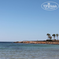 фото из отзыва ID 1168715