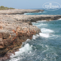 фото из отзыва ID 1168715