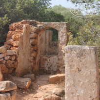 фото из отзыва ID 1168715