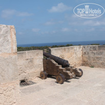 фото из отзыва ID 1168715