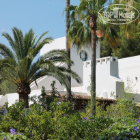 фото из отзыва ID 1168715