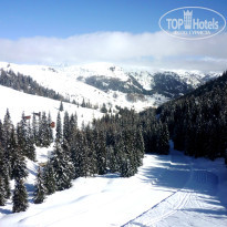 фото из отзыва ID 1168906