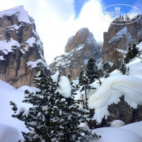 фото из отзыва ID 1168906