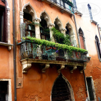 фото из отзыва ID 1168906