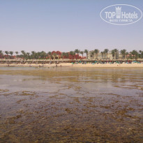 фото из отзыва ID 1169042