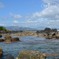 фото из отзыва ID 1169115