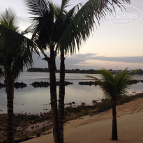 фото из отзыва ID 1169115