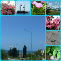 фото из отзыва ID 1169240