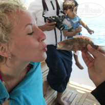 фото из отзыва ID 1169282