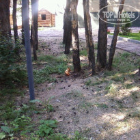 фото из отзыва ID 1169405