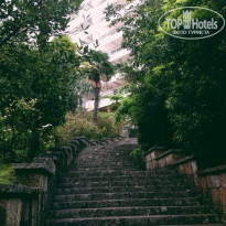 фото из отзыва ID 1169409