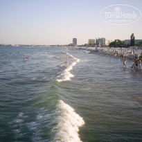 фото из отзыва ID 1169437