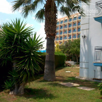 фото из отзыва ID 1169629