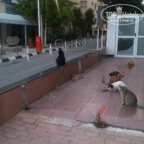 фото из отзыва ID 1169629