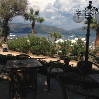 фото из отзыва ID 1169740