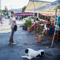 фото из отзыва ID 1169791