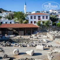 фото из отзыва ID 1169791