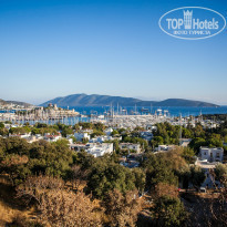 фото из отзыва ID 1169791