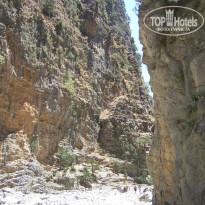 фото из отзыва ID 1169903