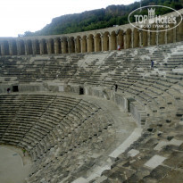 фото из отзыва ID 1166408