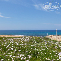 фото из отзыва ID 1168320