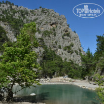 фото из отзыва ID 1163303