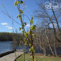 фото из отзыва ID 1165445