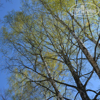 фото из отзыва ID 1165445