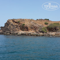 фото из отзыва ID 1161101