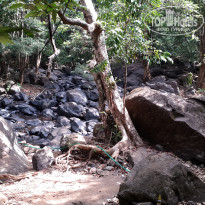 фото из отзыва ID 1161101