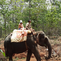 фото из отзыва ID 1161101