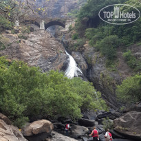 фото из отзыва ID 1161101