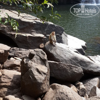 фото из отзыва ID 1161101