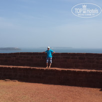 фото из отзыва ID 1161101