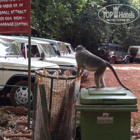 фото из отзыва ID 1161101