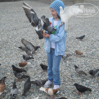 фото из отзыва ID 1170287