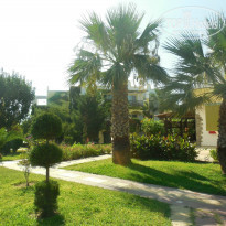 фото из отзыва ID 1171149