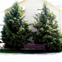 фото из отзыва ID 1171510