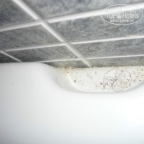 фото из отзыва ID 1171536